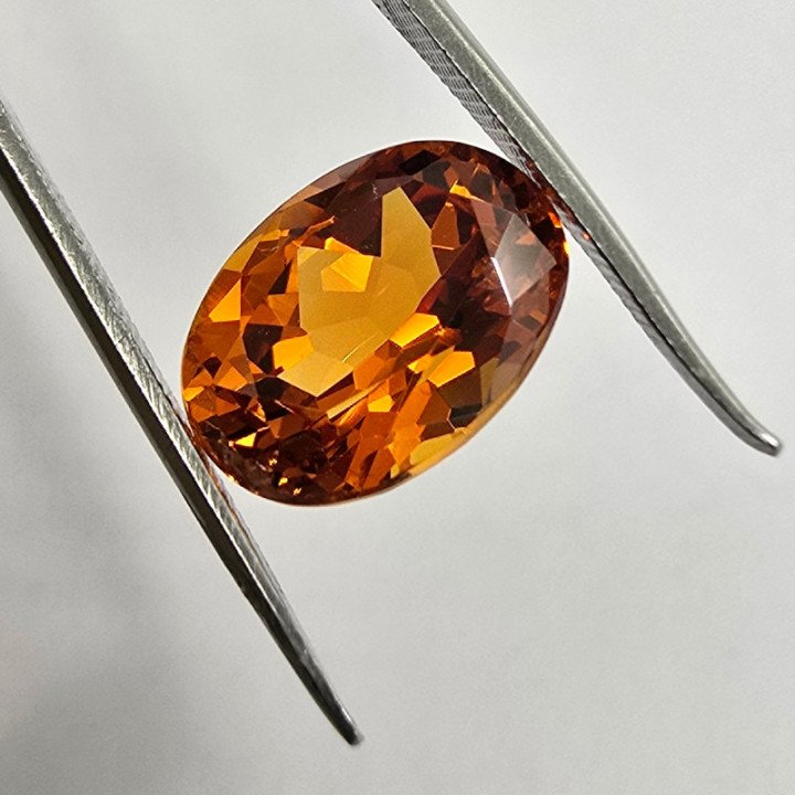 Granato Mandarino Ovale 10,90 x 8,15 mm - 4,35 ct