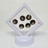Lot of 6 Round-Cut Smoky Quartz 14 mm - 50.47 ct