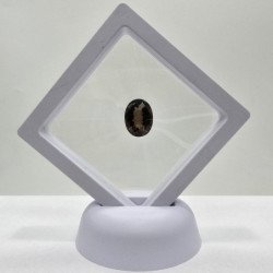 Oval-Cut Smoky Quartz 12 x 16 mm - 8.00 ct