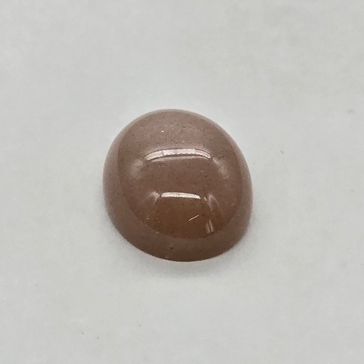 Pietra di Luna Taglio Cabochon 14,70 x 20,00 mm - 17,91 ct
