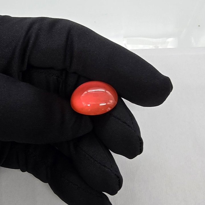 Pietra di Luna Taglio: Cabochon 17,10 x 22,00 mm - 20,88 ct