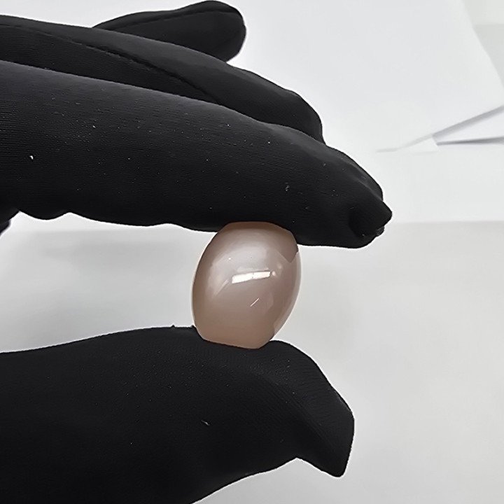 Pietra di Luna Taglio Cabochon 14,00 x 19,00 mm - 12,00 ct