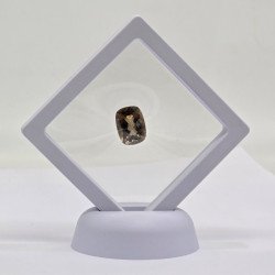 Smoky Quartz Cut: Cushon 12x16mm - 8.60 ct